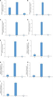 Responses of the gastrointestinal microbiota to the protein metabolism of pond-cultured Japanese flounder (Paralichthys olivaceus)
